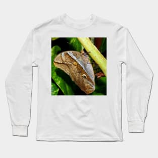 Mournful Brown Owl Butterfly showing his beautiful patterns on its wings Long Sleeve T-Shirt